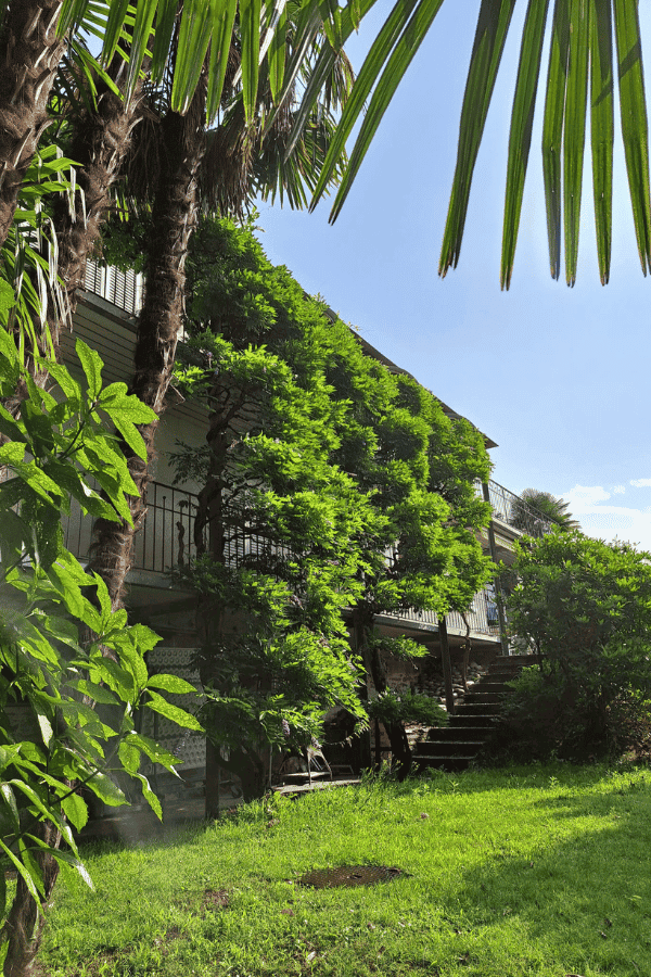 Stiftung Casa Reiner Aussicht(1)(1)